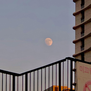 黃色成人❌❌❌大片爱恋视频网站
