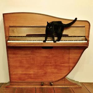 请搜索亚洲家庭乱伦
