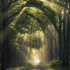 国精产品学生无套
