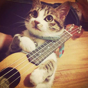 孩娃Fide0SⅩ娇小摘花
